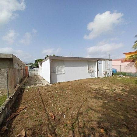 Family House Rain Forest And Beaches Pet Friendly Rio Grande Esterno foto