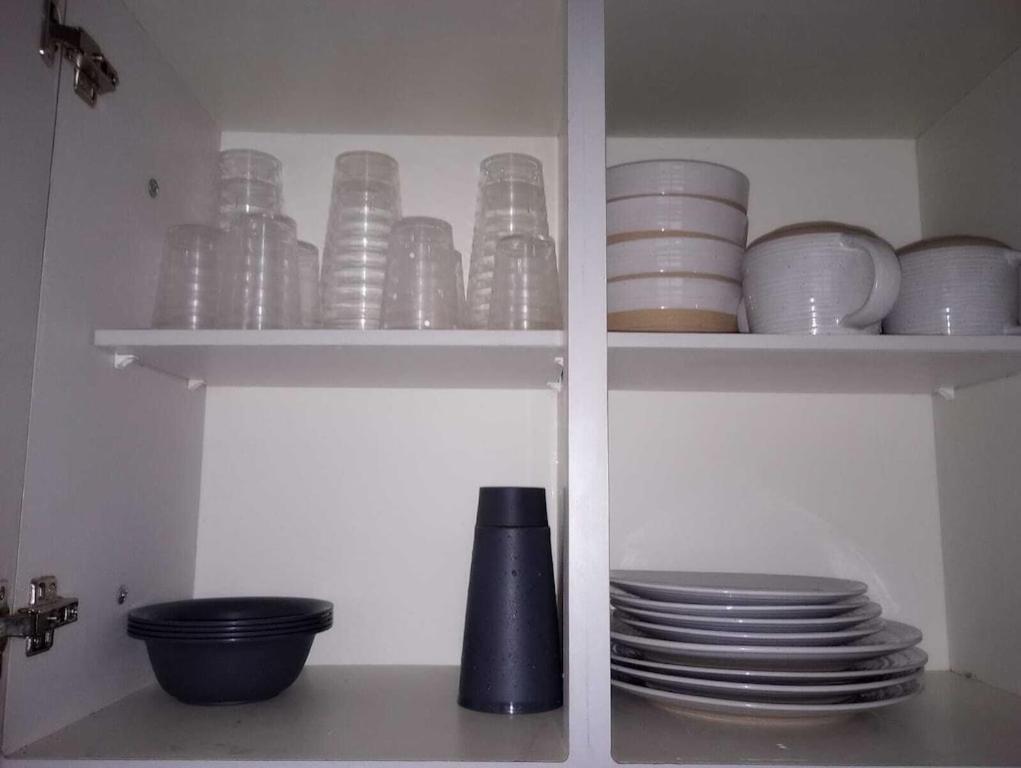 Family House Rain Forest And Beaches Pet Friendly Rio Grande Esterno foto