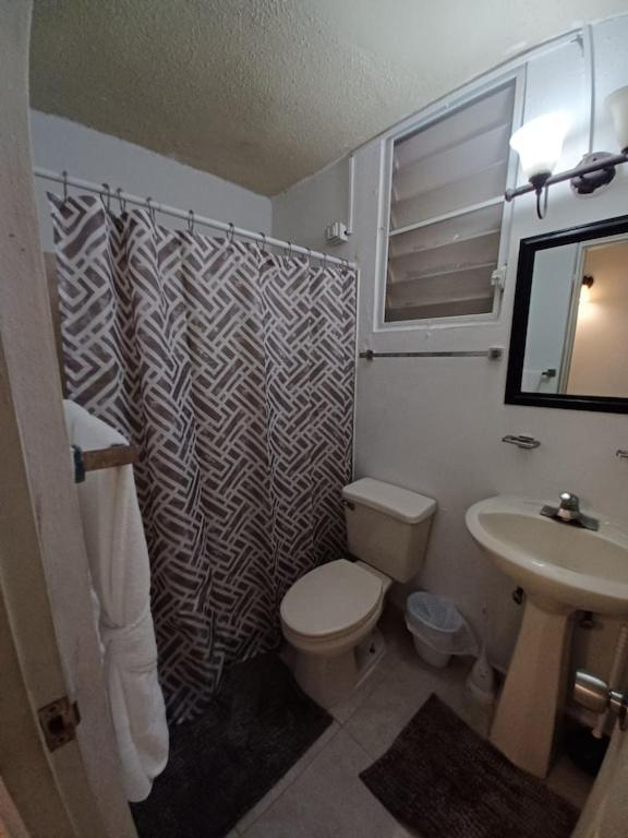 Family House Rain Forest And Beaches Pet Friendly Rio Grande Esterno foto