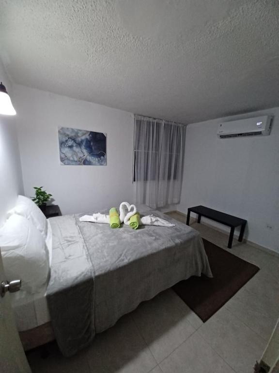 Family House Rain Forest And Beaches Pet Friendly Rio Grande Esterno foto