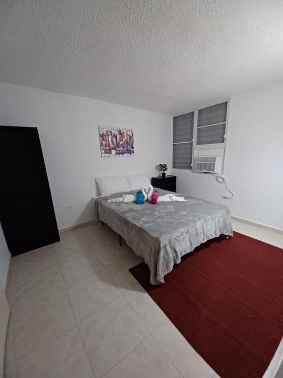 Family House Rain Forest And Beaches Pet Friendly Rio Grande Esterno foto