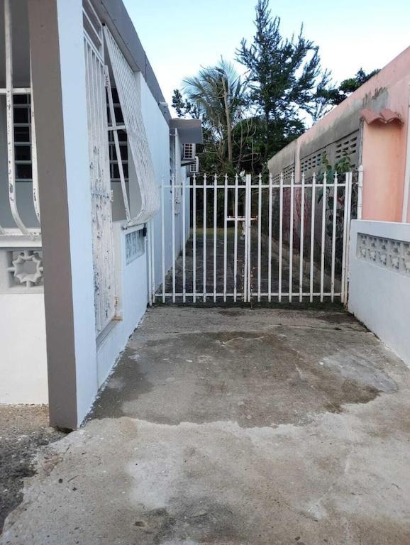 Family House Rain Forest And Beaches Pet Friendly Rio Grande Esterno foto